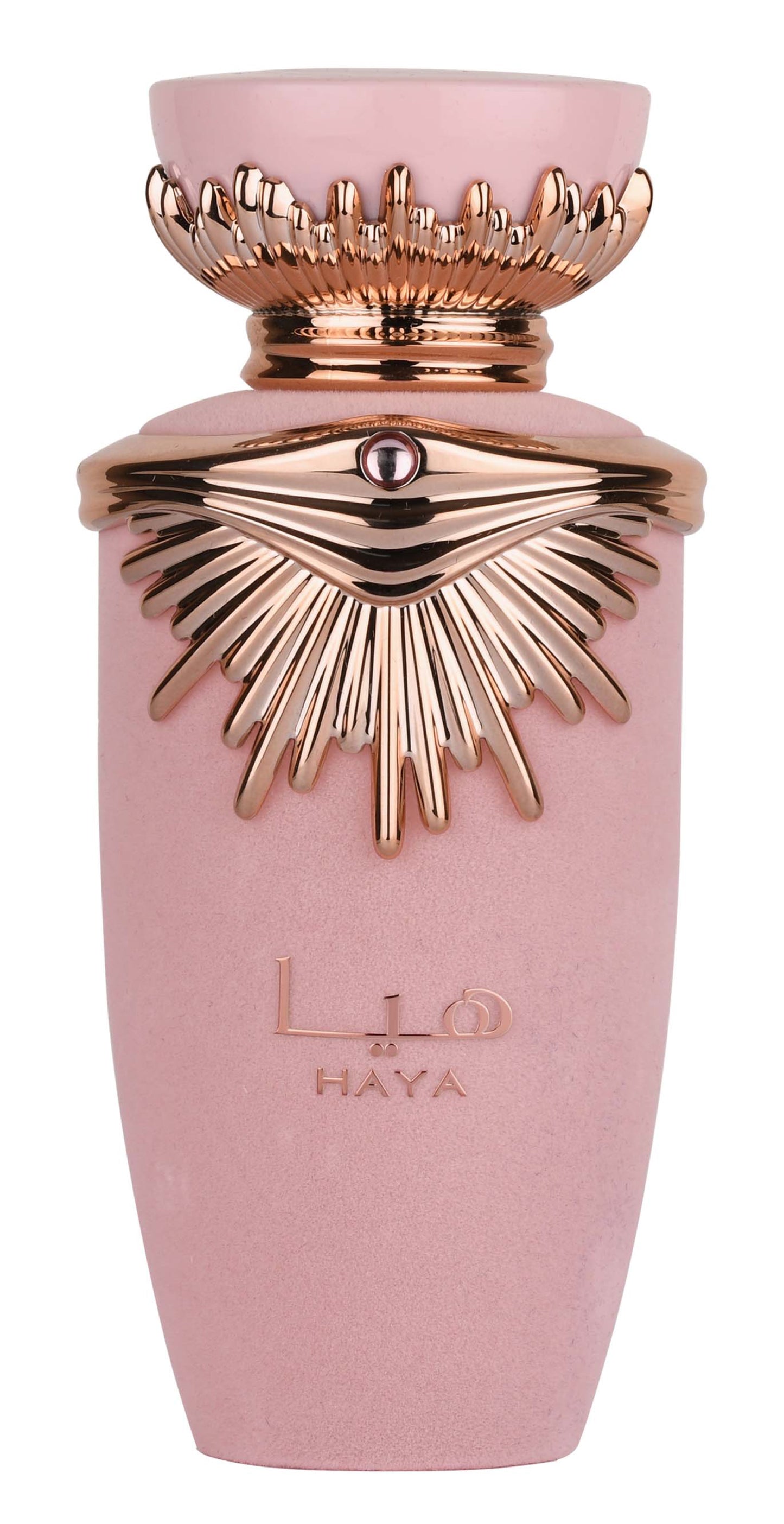 Lattafa Haya 100 ml bottle – sparkling fruity floral fragrance with champagne, vanilla, and musk base.