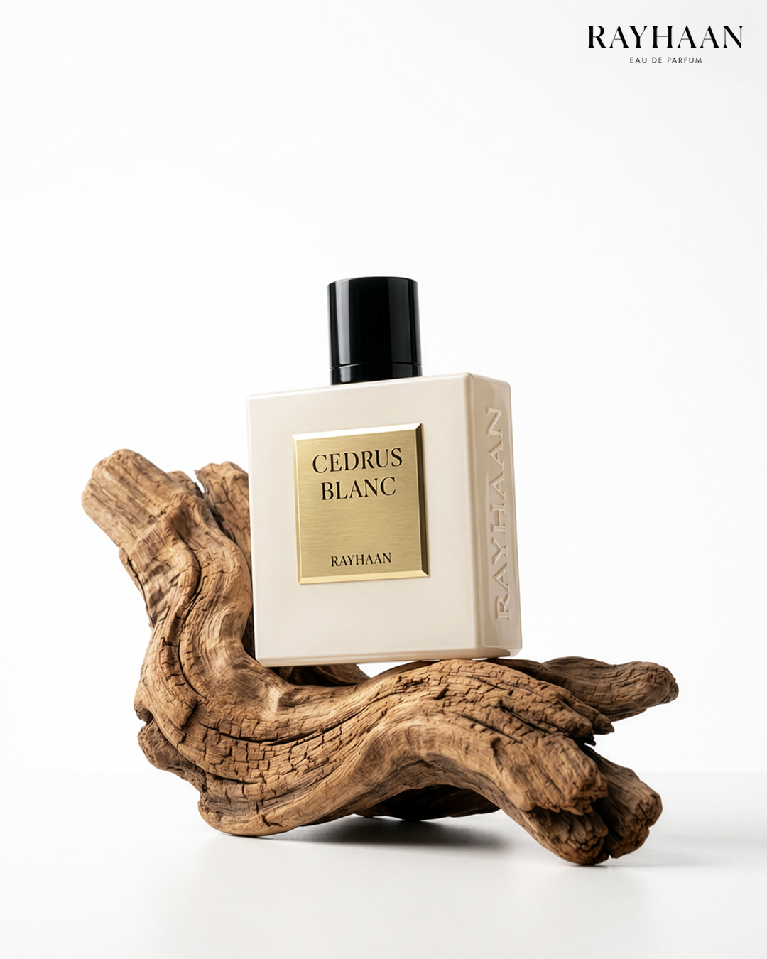 Rayhaan Cedrus Blanc Eau de Parfum 100 ml (3.4 oz) product image 3
