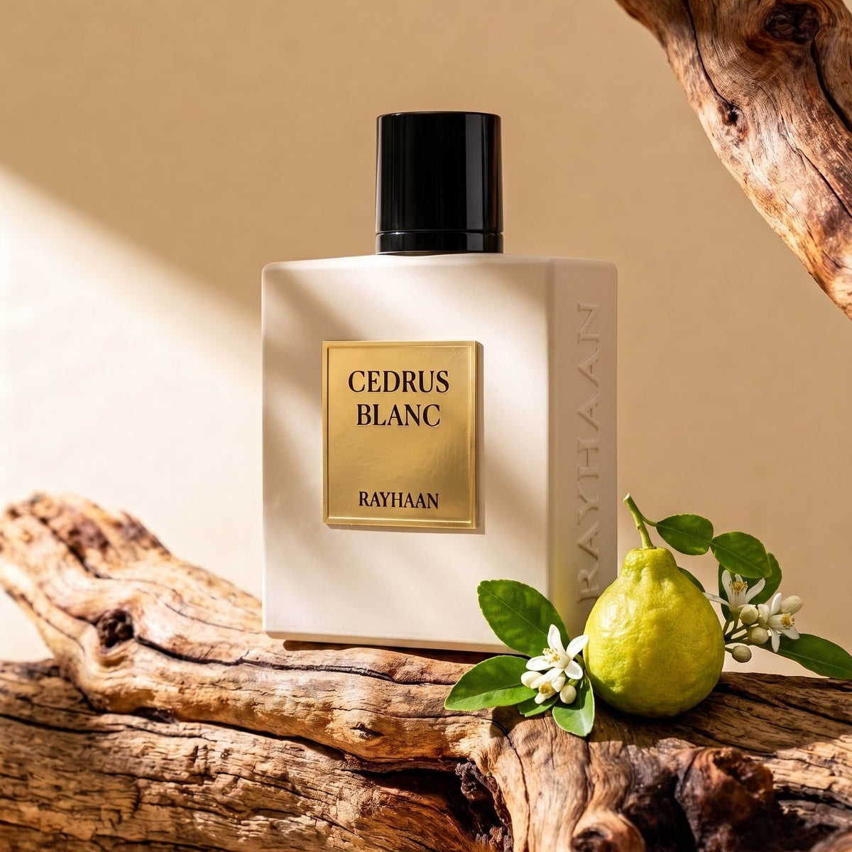 Rayhaan Cedrus Blanc Eau de Parfum 100 ml (3.4 oz) product image 4