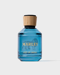 Keep On Moving by Marley