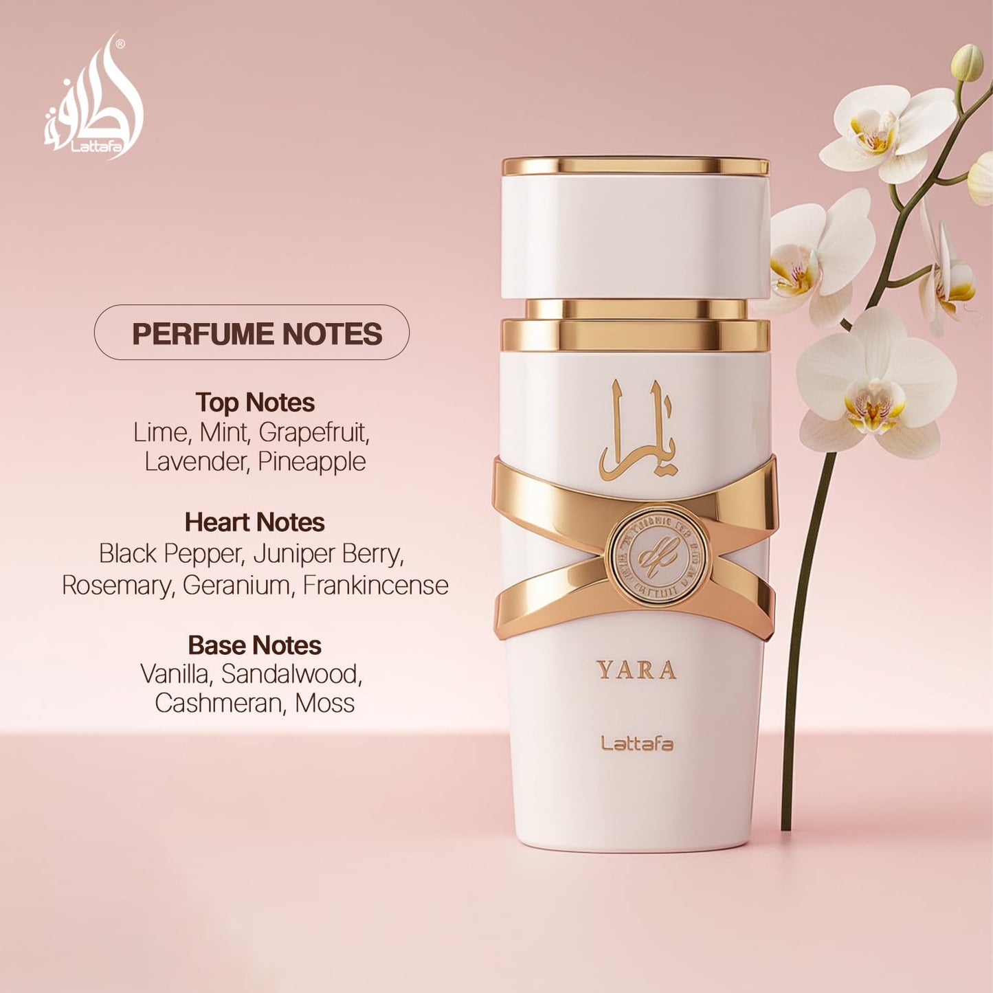 Lattafa Yara Moi Eau de Parfum 100 ml bottle – creamy gourmand fragrance with peach, caramel, amber, sandalwood, and soft floral notes