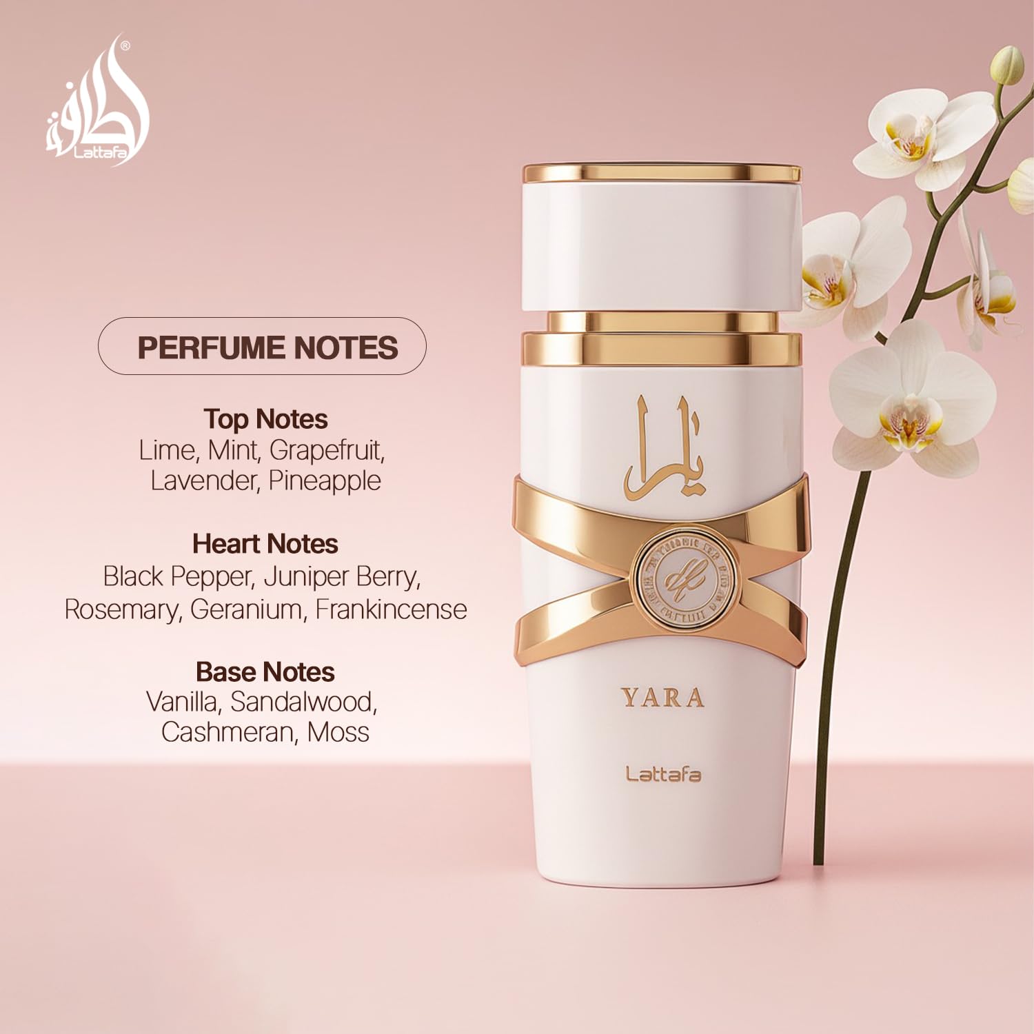 Lattafa Yara Moi Eau de Parfum 100 ml bottle – creamy gourmand fragrance with peach, caramel, amber, sandalwood, and soft floral notes