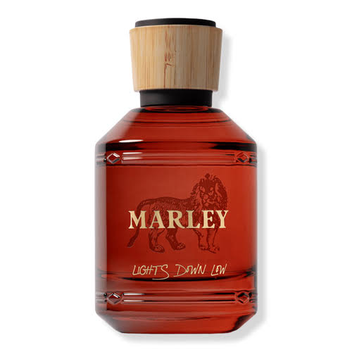 Lights Down Low by Marley