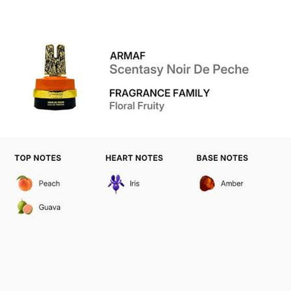 Armaf Scentasy Noir de Pêche