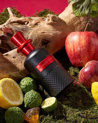 Fragrance Story Perfect Pour Homme