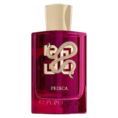 Caneza Prisca