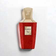 Canéza's Rose on Fire